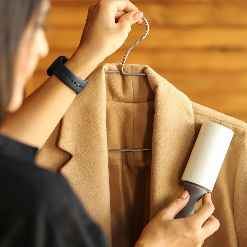 Why is a Lint Roller a Must Have Tool in Your Home?